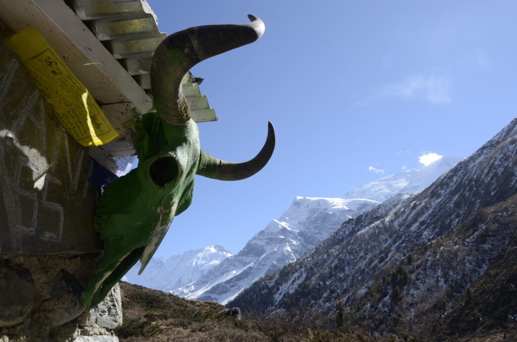 Kultura i tradycje Nepalu